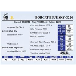 Bobcat Blue Sky G220