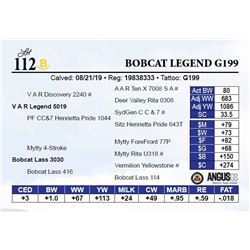 Bobcat Legend G199