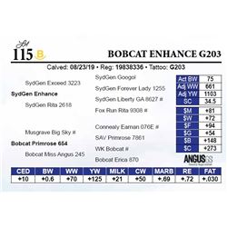 Bobcat Enhance G203