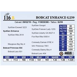 Bobcat Enhance G259