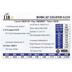 Bobcat Legend G219
