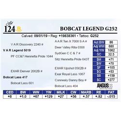 Bobcat Legend G252