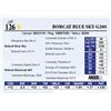 Image 1 : Bobcat Blue Sky G200
