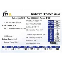 Bobcat Legend G198