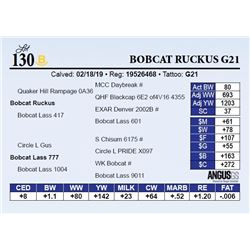 Bobcat Ruckus G21