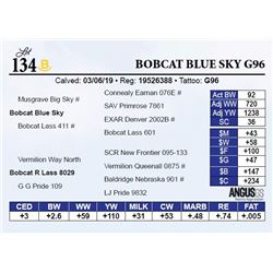 Bobcat Blue Sky G96