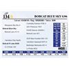 Image 1 : Bobcat Blue Sky G96