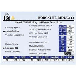 Bobcat Re-Ride G114