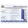 Image 1 : Bobcat Natural G136