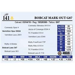 Bobcat Mark Out G87