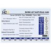 Image 1 : Bobcat Natural G80