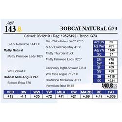 Bobcat Natural G73