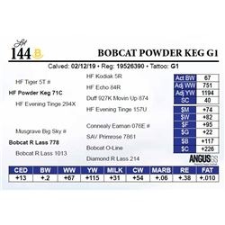 Bobcat Powder Keg G1
