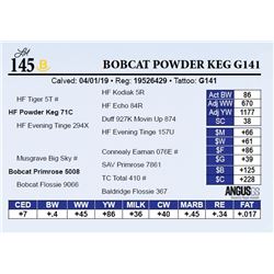 Bobcat Powder Keg G141