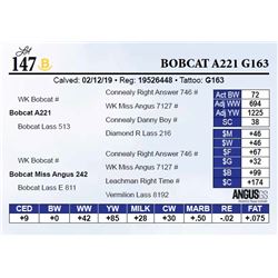 Bobcat A221 G163