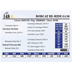 Bobcat Re-Ride G138