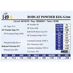 Bobcat Powder Keg G166