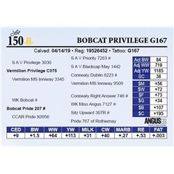 Bobcat Privilege G167