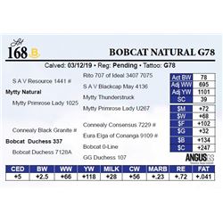 Bobcat Natural G78