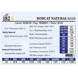 Bobcat Natural G123