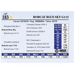 Bobcat Blue Sky G115