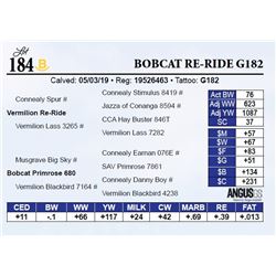 Bobcat Re-Ride G182