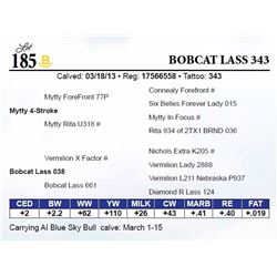 Bobcat Lass 343