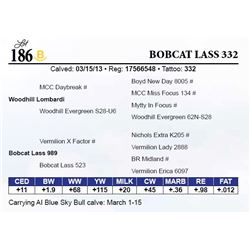 Bobcat Lass 332
