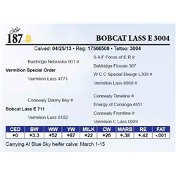 Bobcat Lass E 3004