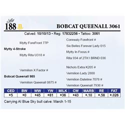 Bobcat Queenall 3061