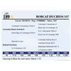 Image 1 : Bobcat Duchess 337