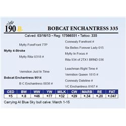 Bobcat Enchantress 335
