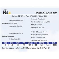 Bobcat Lass 309