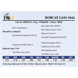 Bobcat Lass 3044