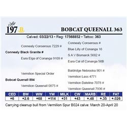 Bobcat Queenall 363