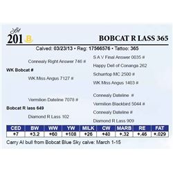 Bobcat R Lass 365