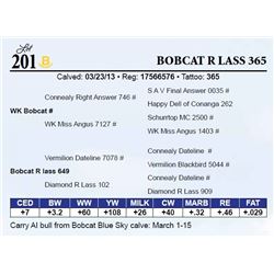 Bobcat R Lass 365