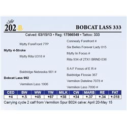 Bobcat Lass 333