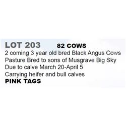 82 COWS