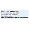 Image 1 : 54 HEIFERS