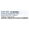 Image 1 : 50 HEIFERS