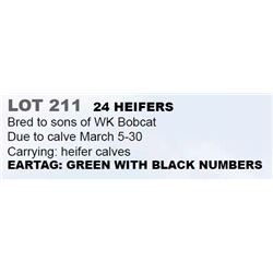 24 HEIFERS