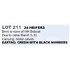 Image 1 : 24 HEIFERS