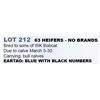 Image 1 : 63 HEIFERS - NO BRANDS