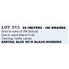 Image 1 : 58 HEIFERS - NO BRANDS