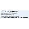 Image 1 : 25 HEIFERS