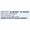 Image 1 : 60 HEIFERS – NO BRANDS