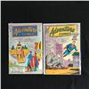 Image 1 : DC COMICS BOOK LOT (ADVENTURE COMICS #314/ #301)