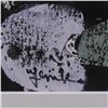 Image 2 : Jenik Cook, Framed Original Acrylic Painting, Hand Singed with Letter of Authenticity.