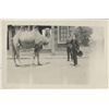 Image 14 : Collection of (16) vintage photographs taken of various movie sets and stages at Universal City.